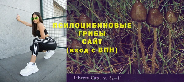 скорость mdpv Инсар