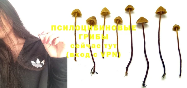 марихуана Иннополис
