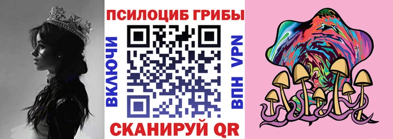 Псилоцибиновые грибы MAGIC MUSHROOMS  Кирсанов 